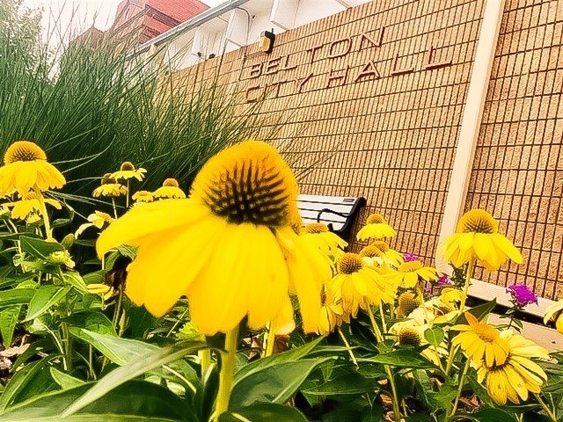 Flowers & City Hall.jpg